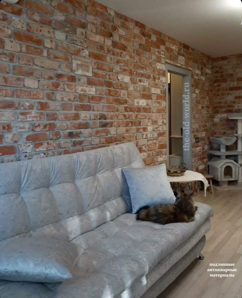 Дом с котиками