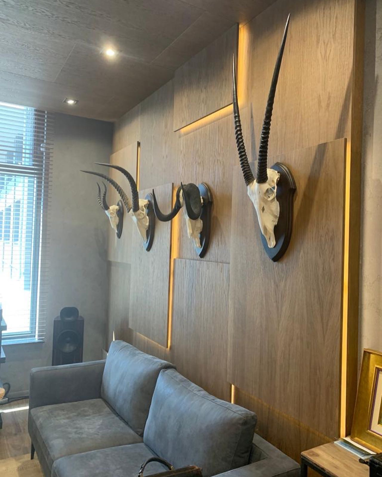 Офис на ВО ЖК "Палацио"