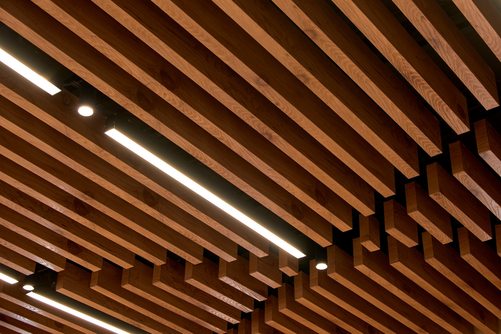 Фотосъёмка для HIMMEL