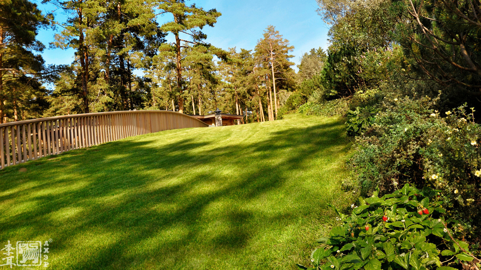 Ландшафтный дизайн лесного участка и кровли