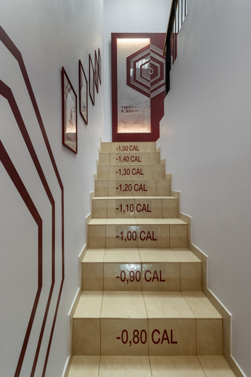 Фитнес клуб ТВД