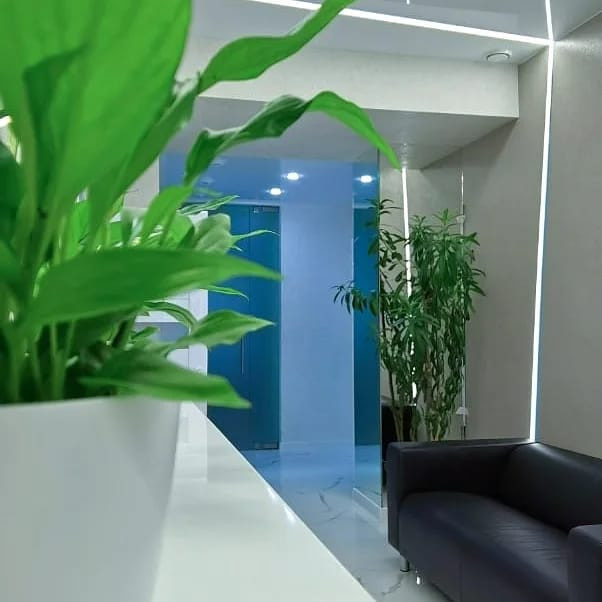 Дизайн-проект интерьера стоматологической клиники "ЛидерДент" г. Томск