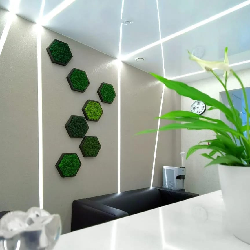 Дизайн-проект интерьера стоматологической клиники "ЛидерДент" г. Томск