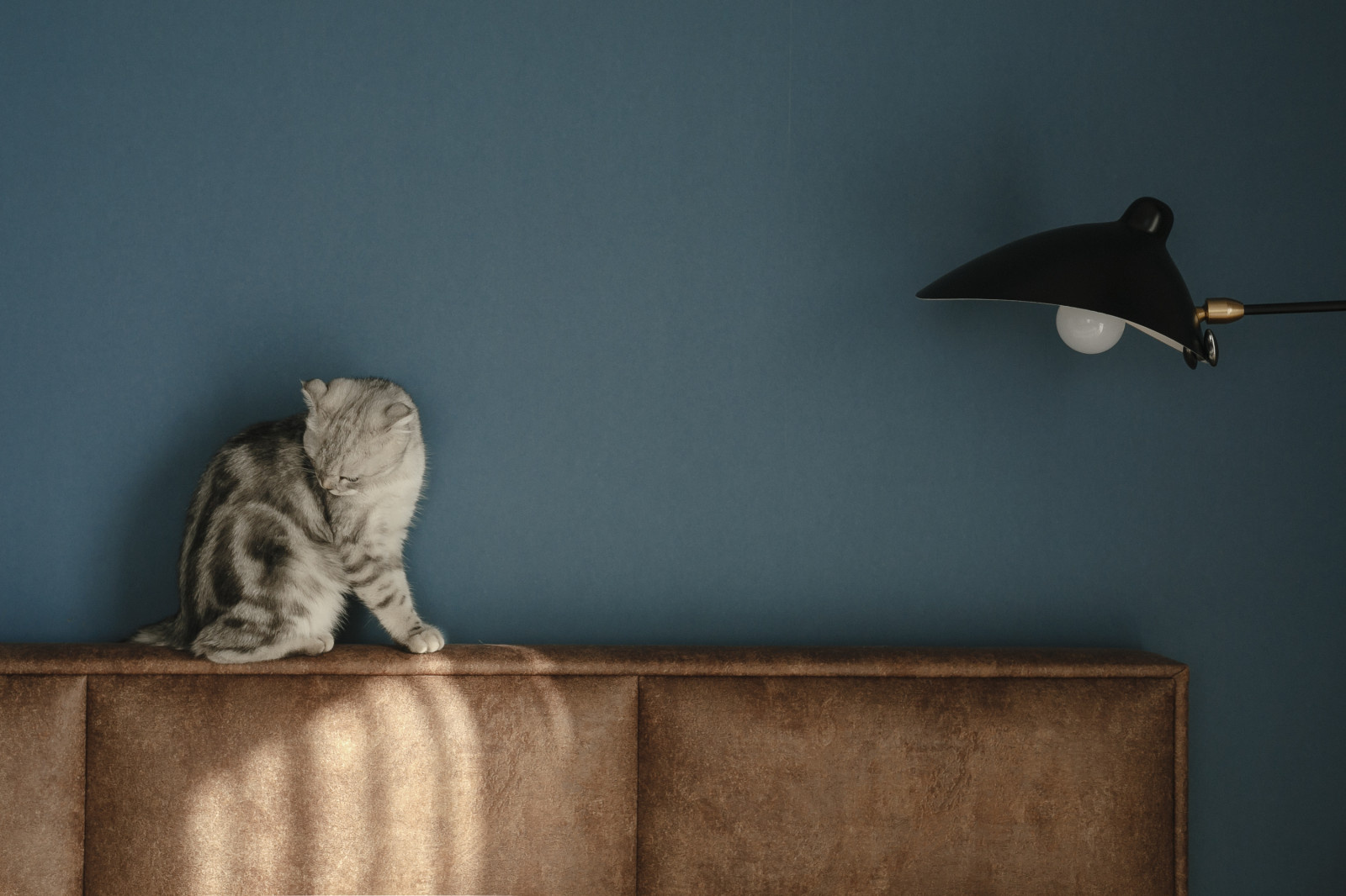 Дом 4 стихии