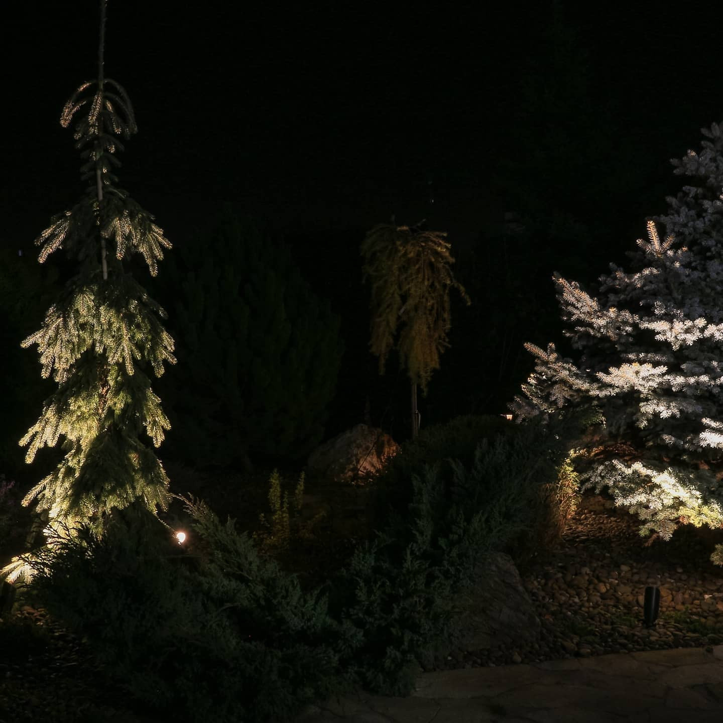 пос. Гранный ландшафтное освещение