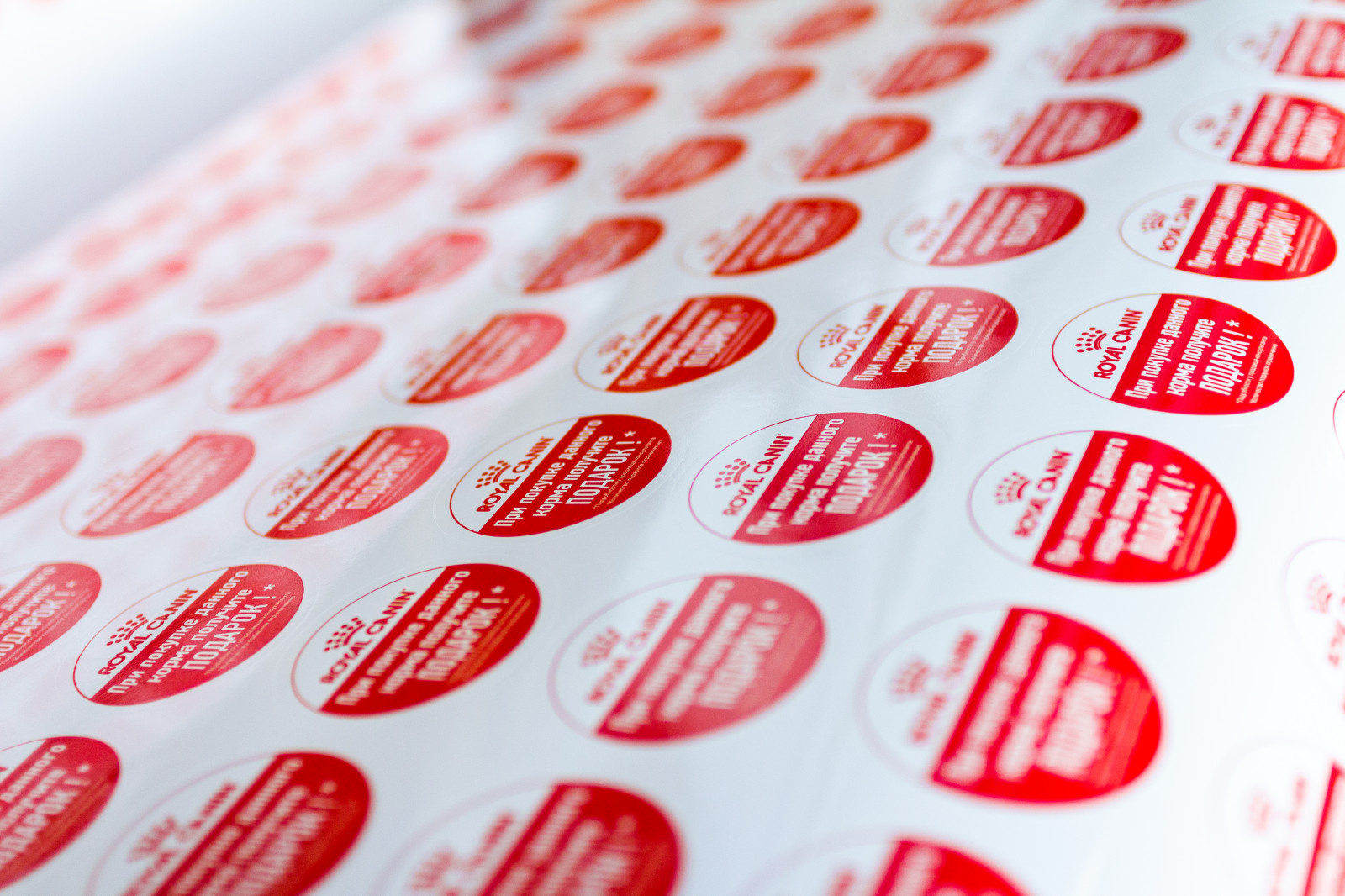 Рекламное агентство "RADIUS"