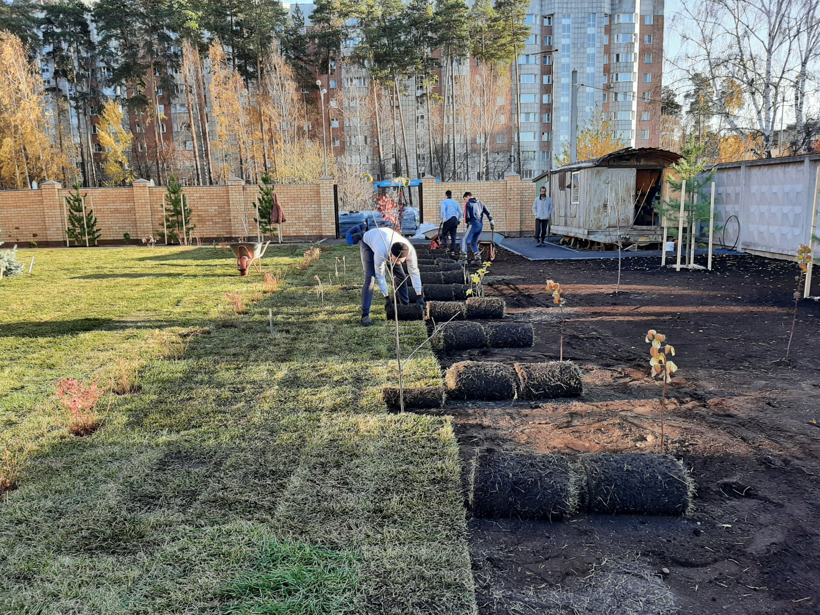 ландшафтный дизайн частного дома