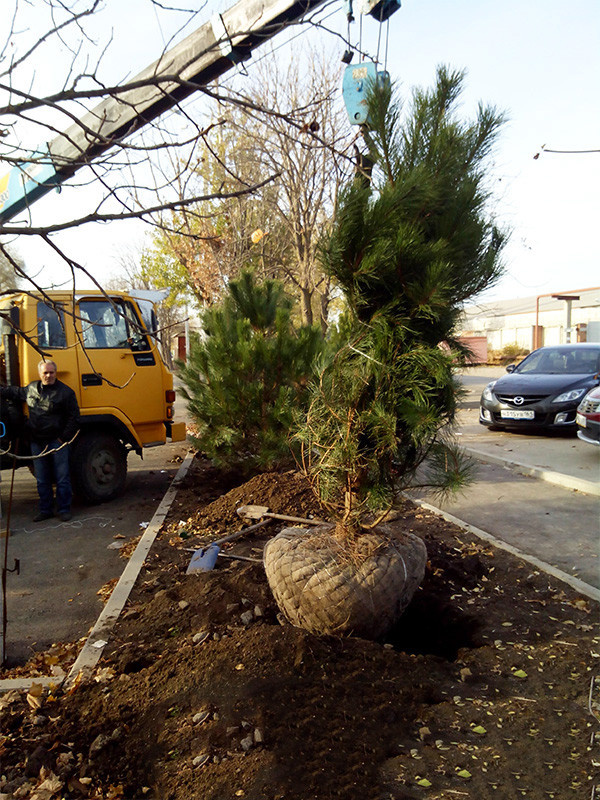 Реализованные объекты