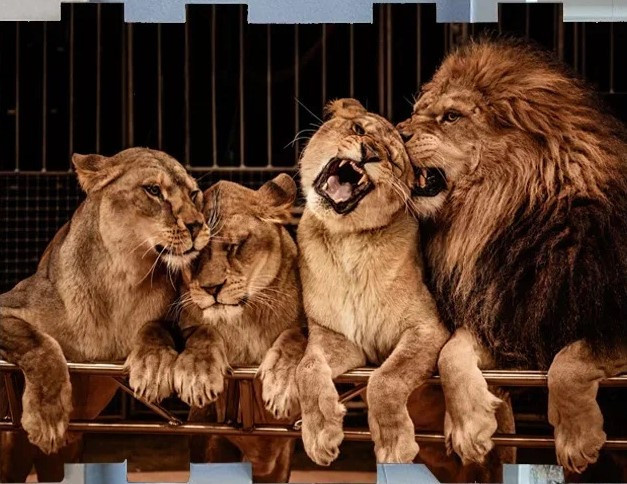 Наши работы