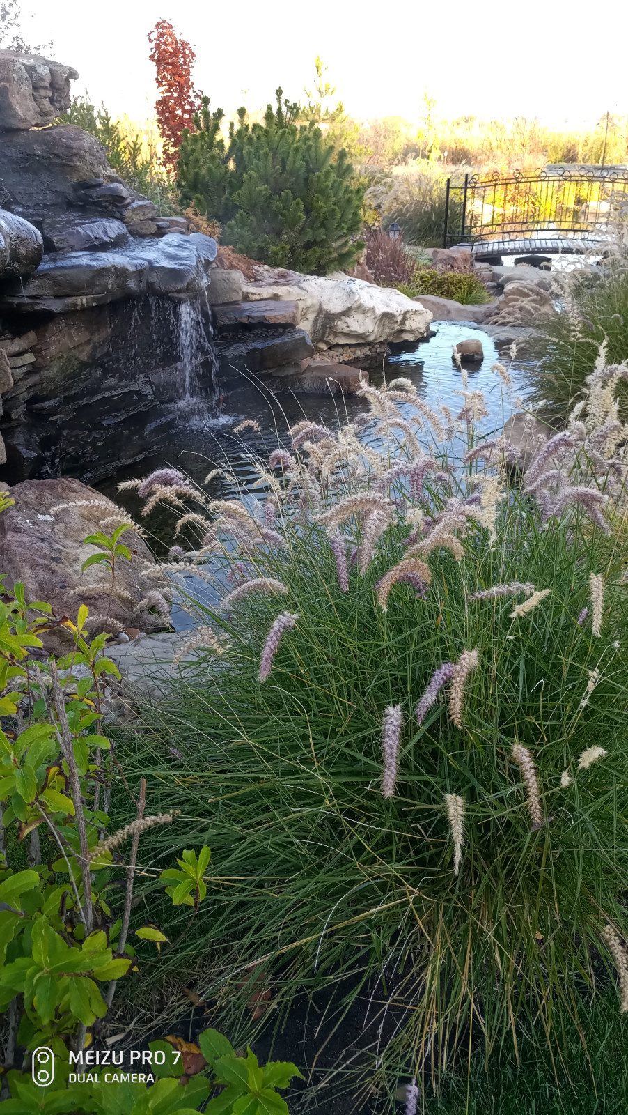 Альпинарий и водопад