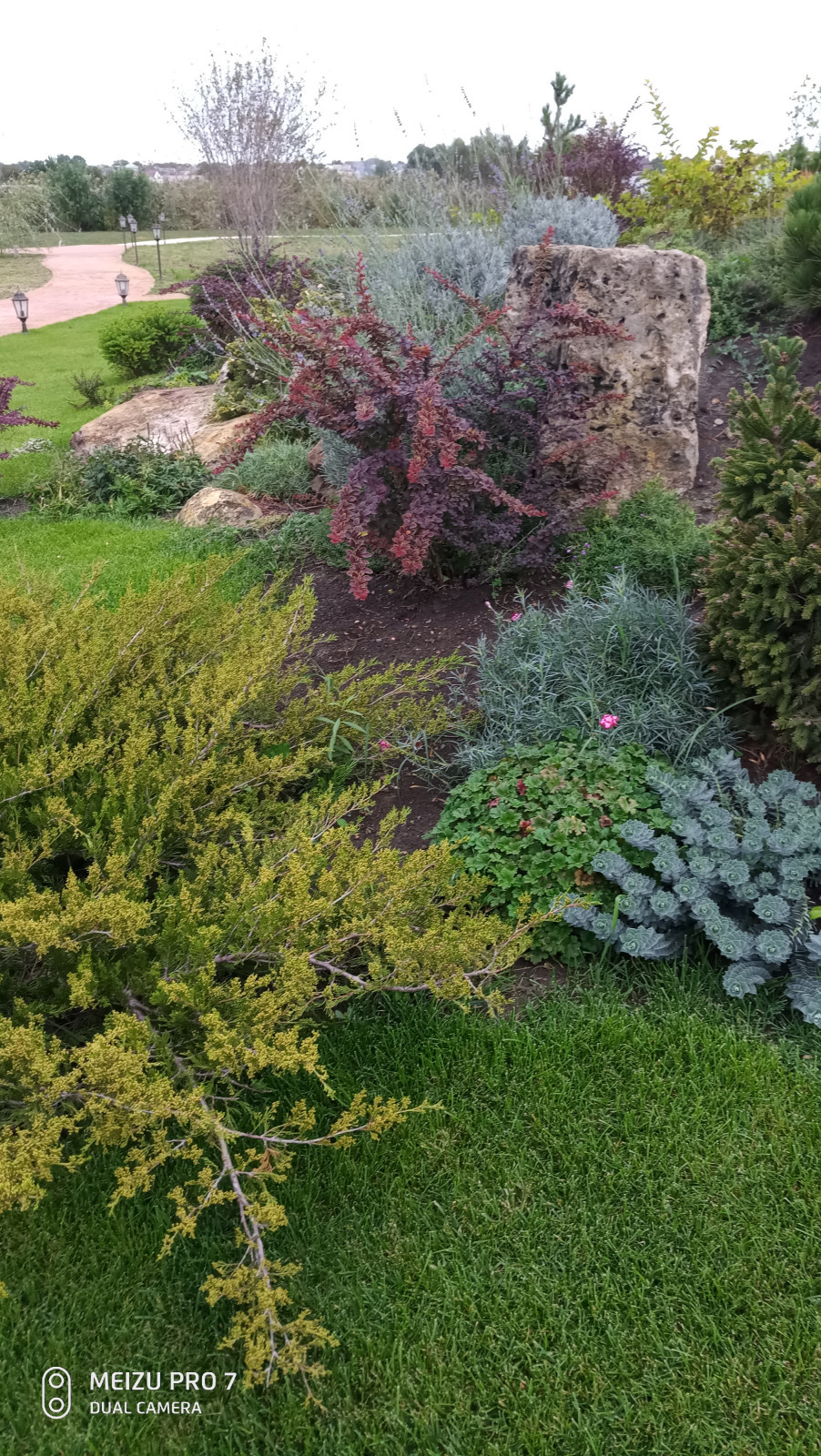 Альпинарий и водопад