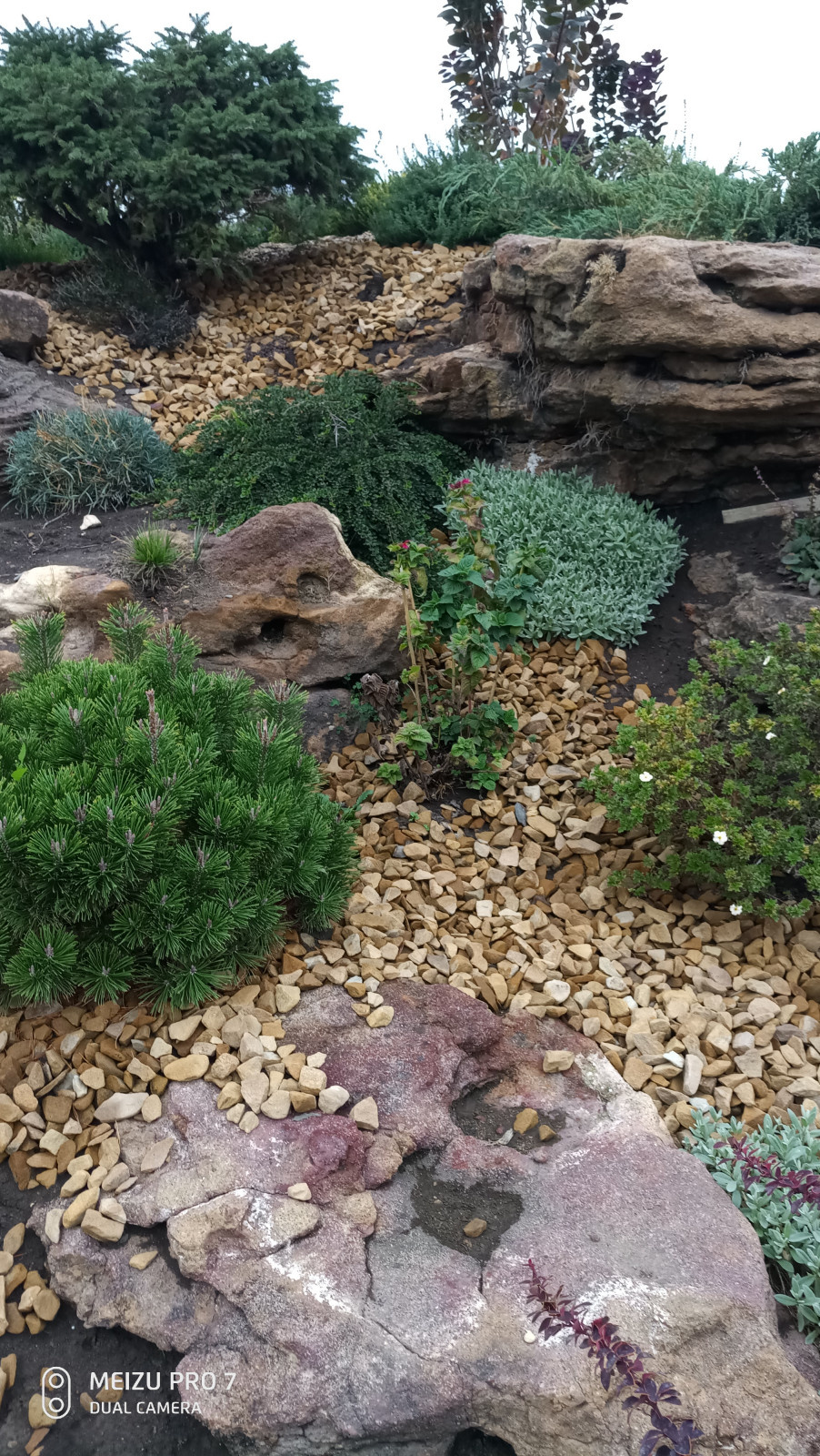 Альпинарий и водопад