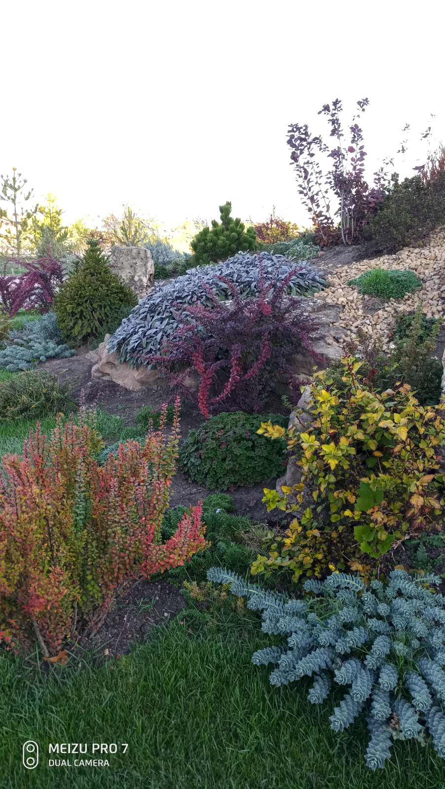 Альпинарий и водопад