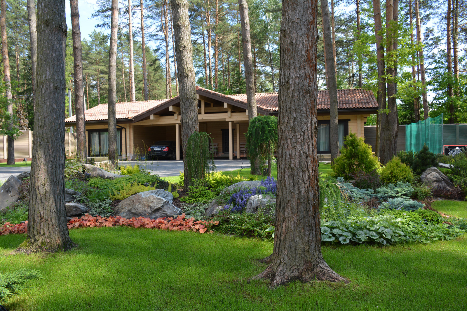 В тени вековых сосен