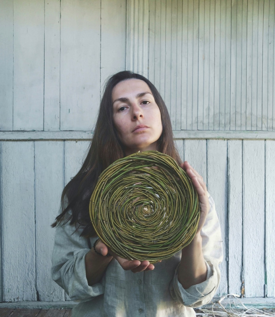 Обложка проекта: Декор из ивовой лозы