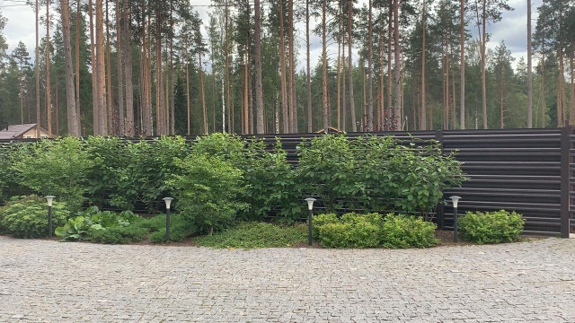 Лесной участок на крутом склоне,проект и реализация  2020г