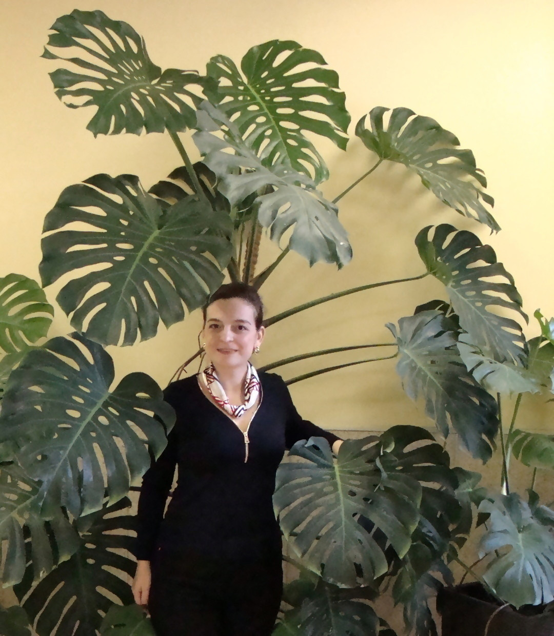 Фитодизайн