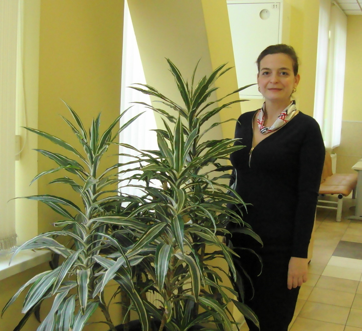 Фитодизайн