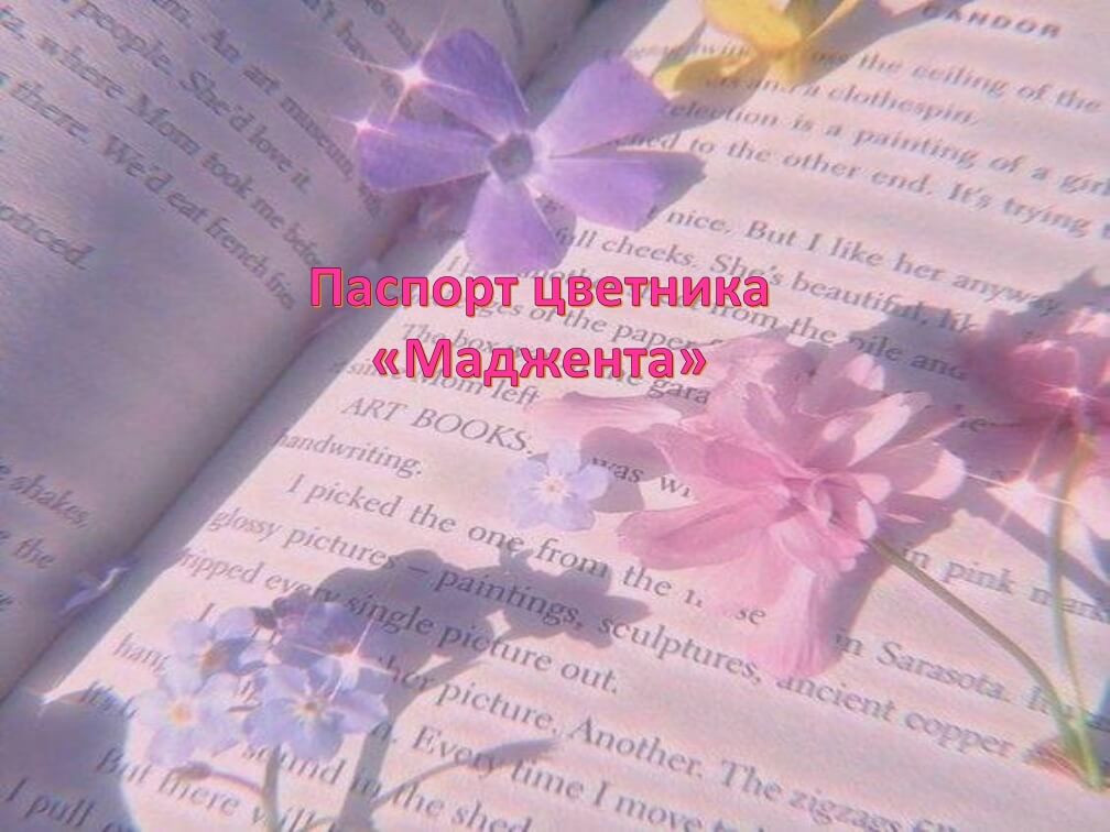 Дипломный дизайн-проект «Пейзажный уголок Тверской губернии»