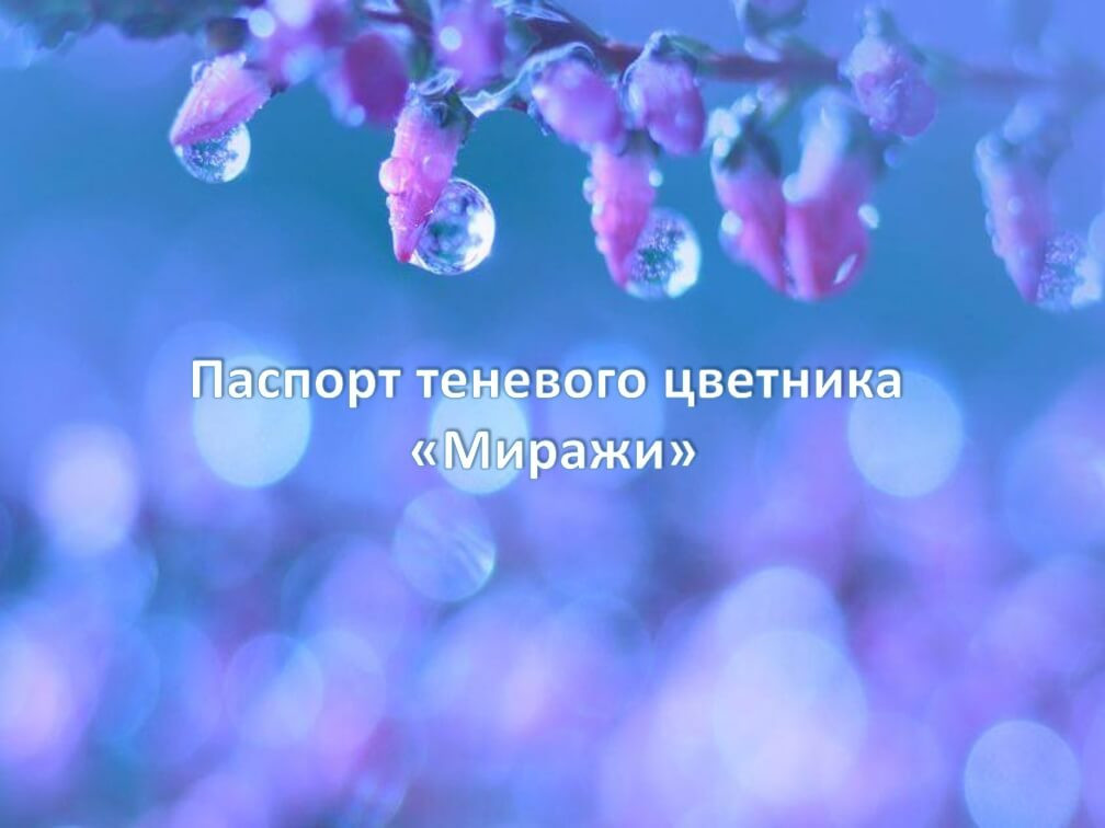 Дипломный дизайн-проект «Пейзажный уголок Тверской губернии»