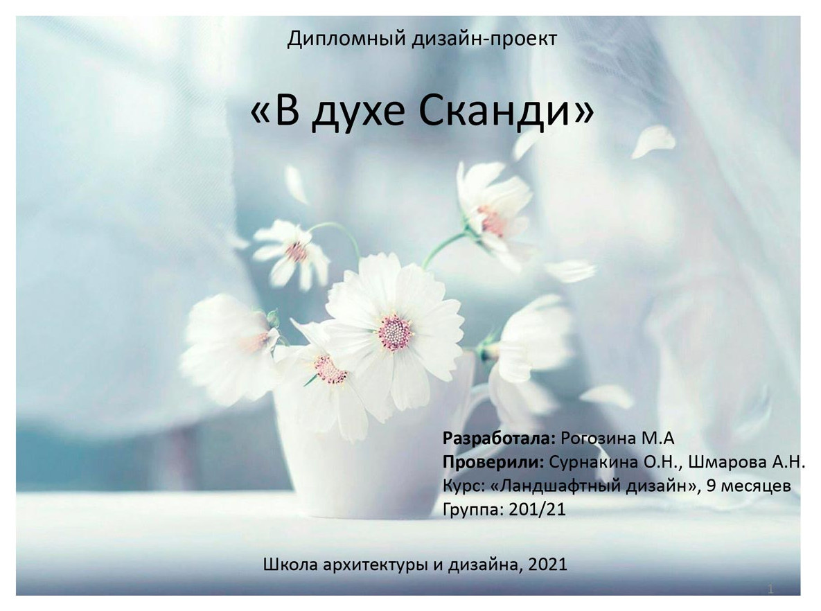 Дипломный дизайн-проект «В духе Сканди»