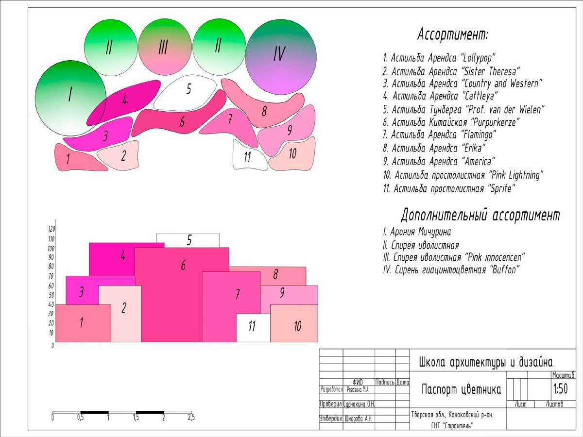 Дипломный дизайн-проект «В духе Сканди»