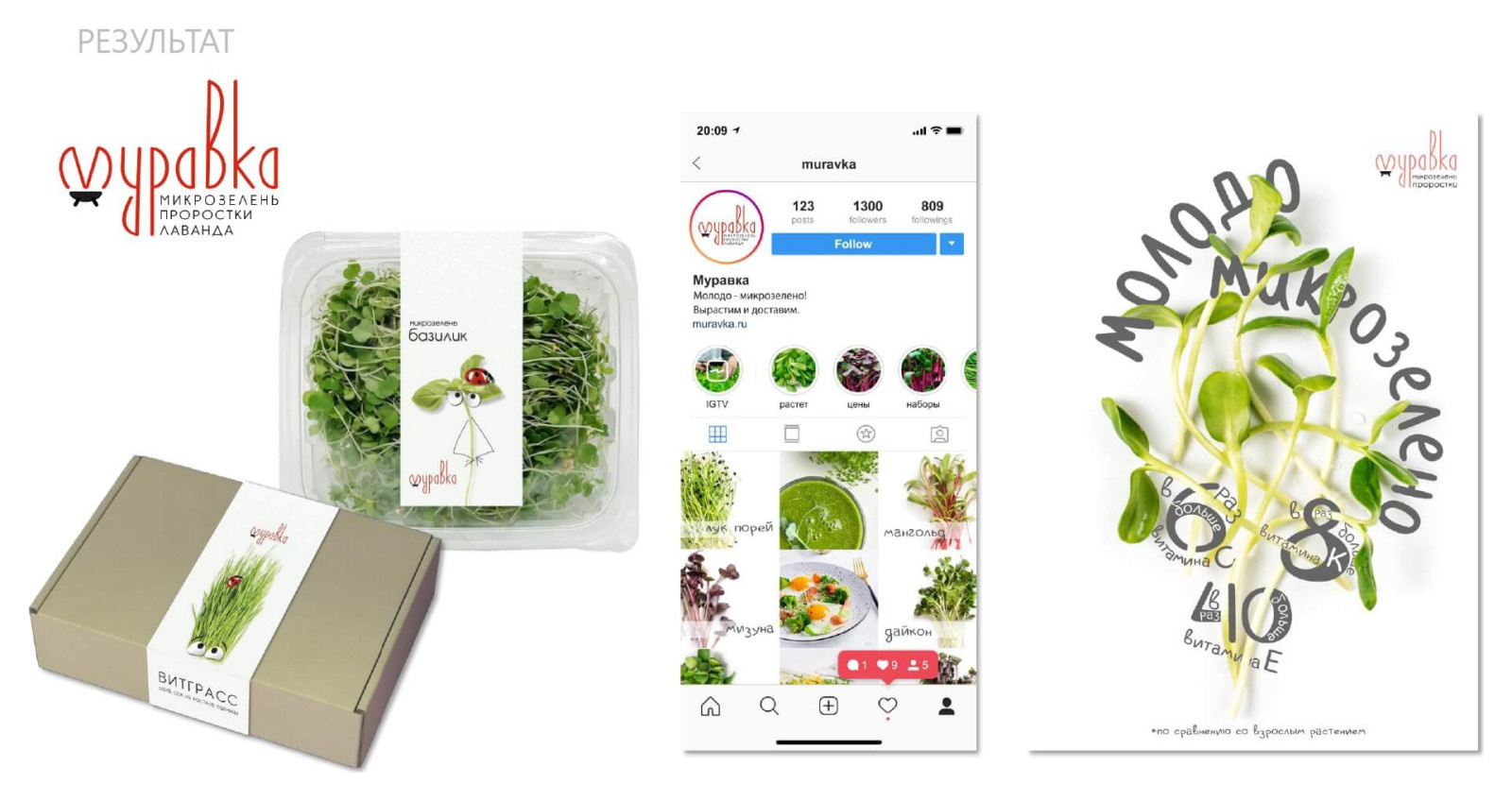 Разработка фирменного стиля для городской мини-фермы «Зеленый ряд»