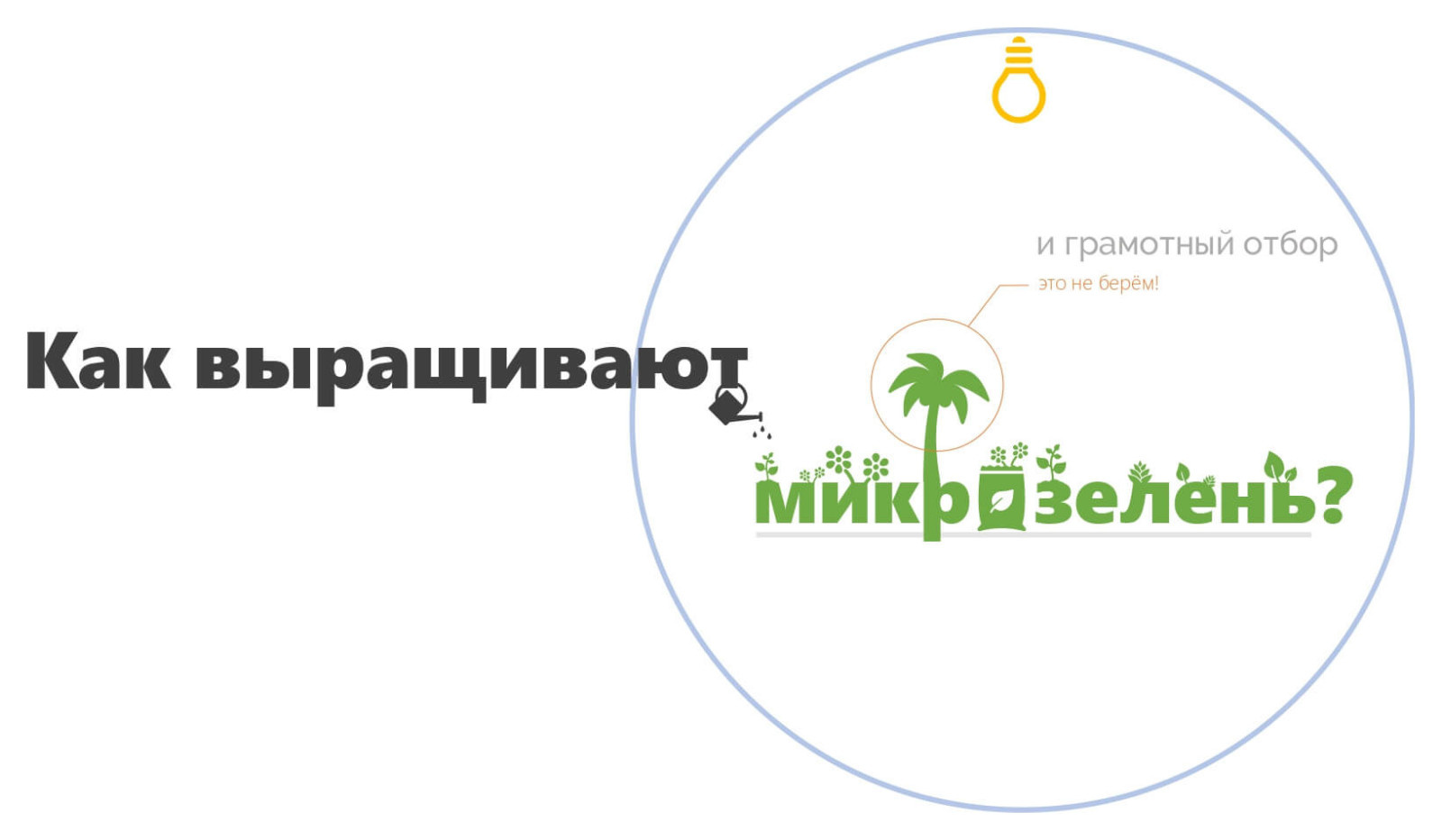 Разработка фирменного стиля для городской мини-фермы «Зеленый ряд»