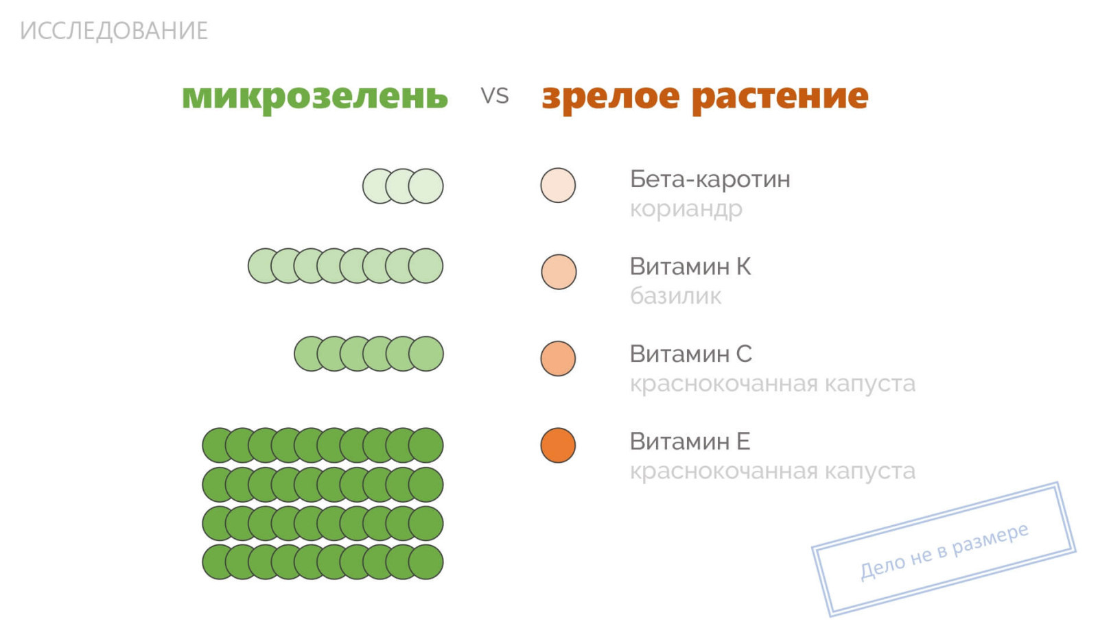 Разработка фирменного стиля для городской мини-фермы «Зеленый ряд»