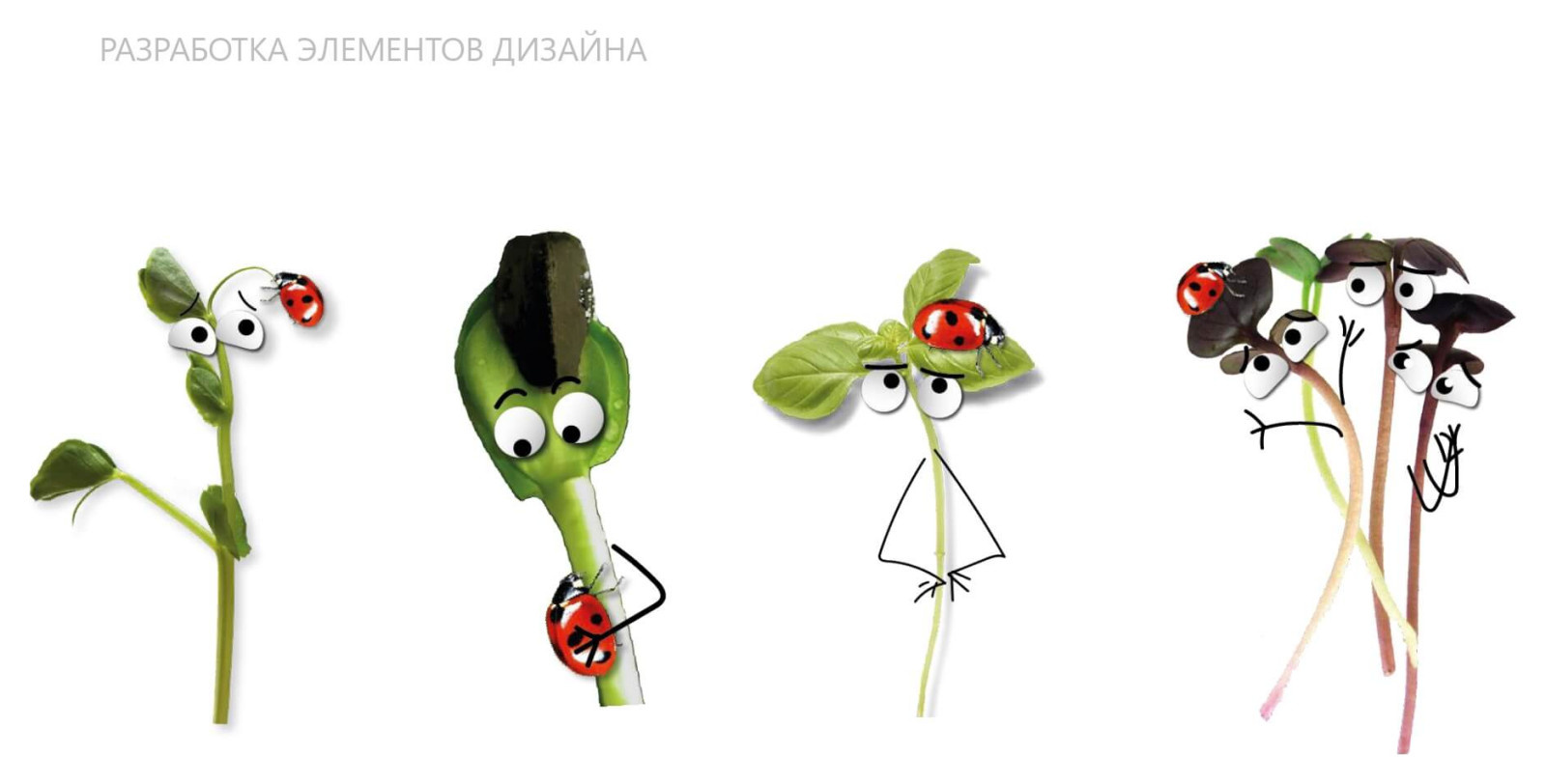 Разработка фирменного стиля для городской мини-фермы «Зеленый ряд»