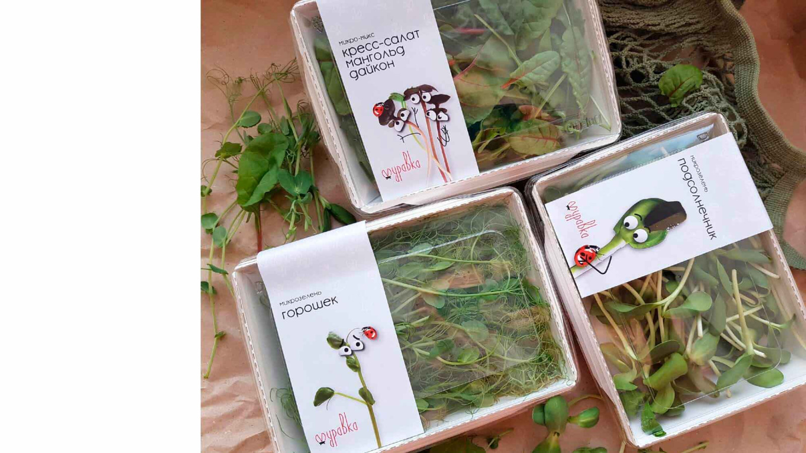 Разработка фирменного стиля для городской мини-фермы «Зеленый ряд»