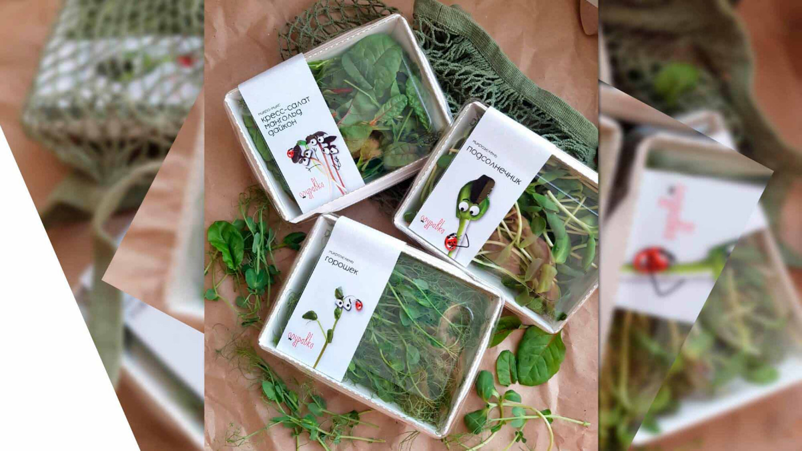 Разработка фирменного стиля для городской мини-фермы «Зеленый ряд»