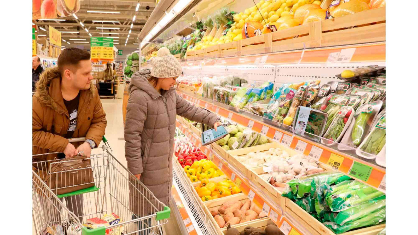 Разработка фирменного стиля для городской мини-фермы «Зеленый ряд»