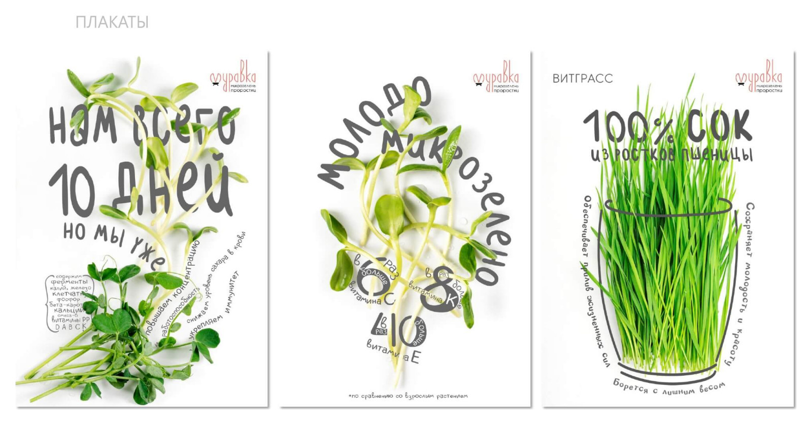 Разработка фирменного стиля для городской мини-фермы «Зеленый ряд»