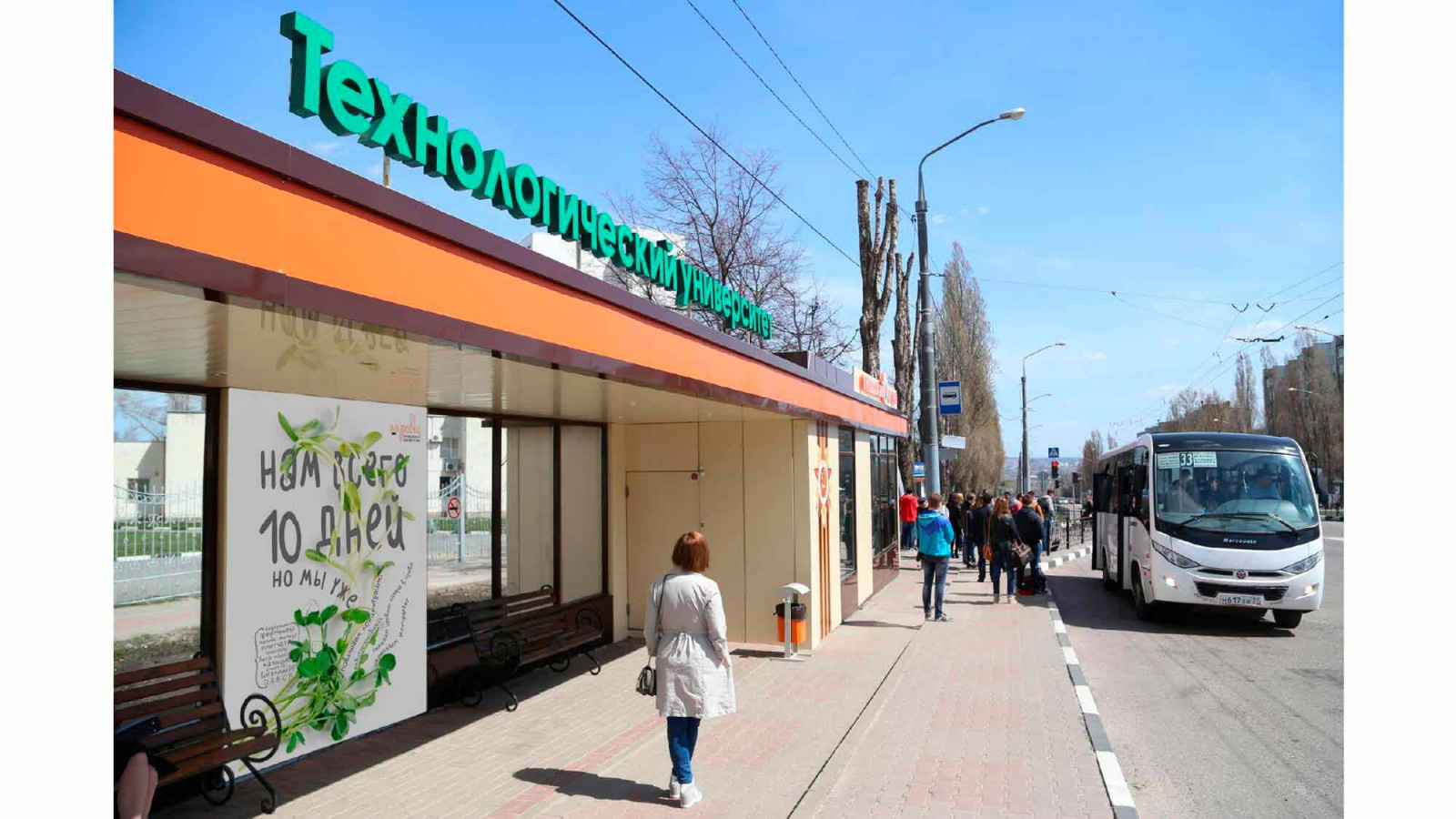 Разработка фирменного стиля для городской мини-фермы «Зеленый ряд»