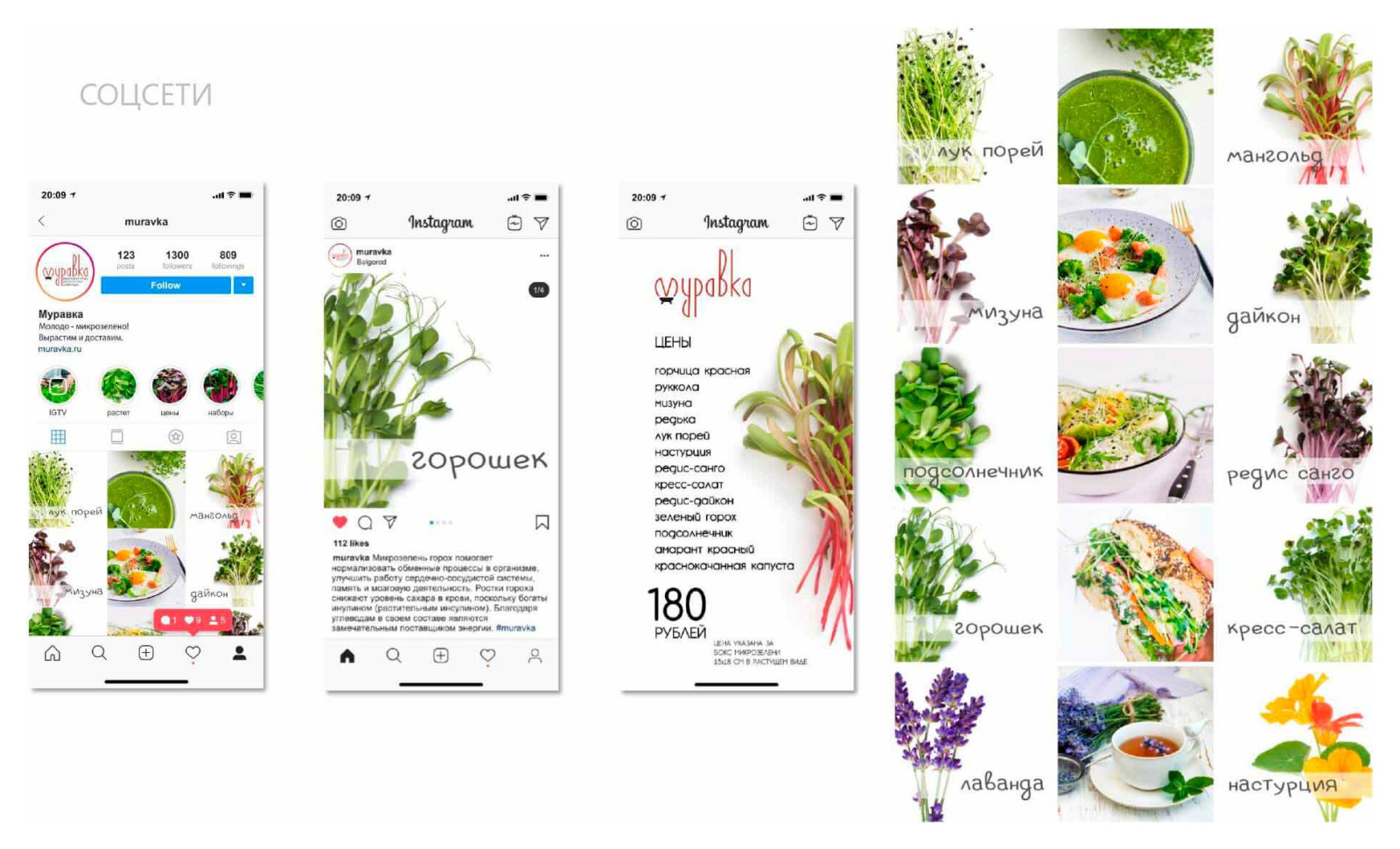 Разработка фирменного стиля для городской мини-фермы «Зеленый ряд»