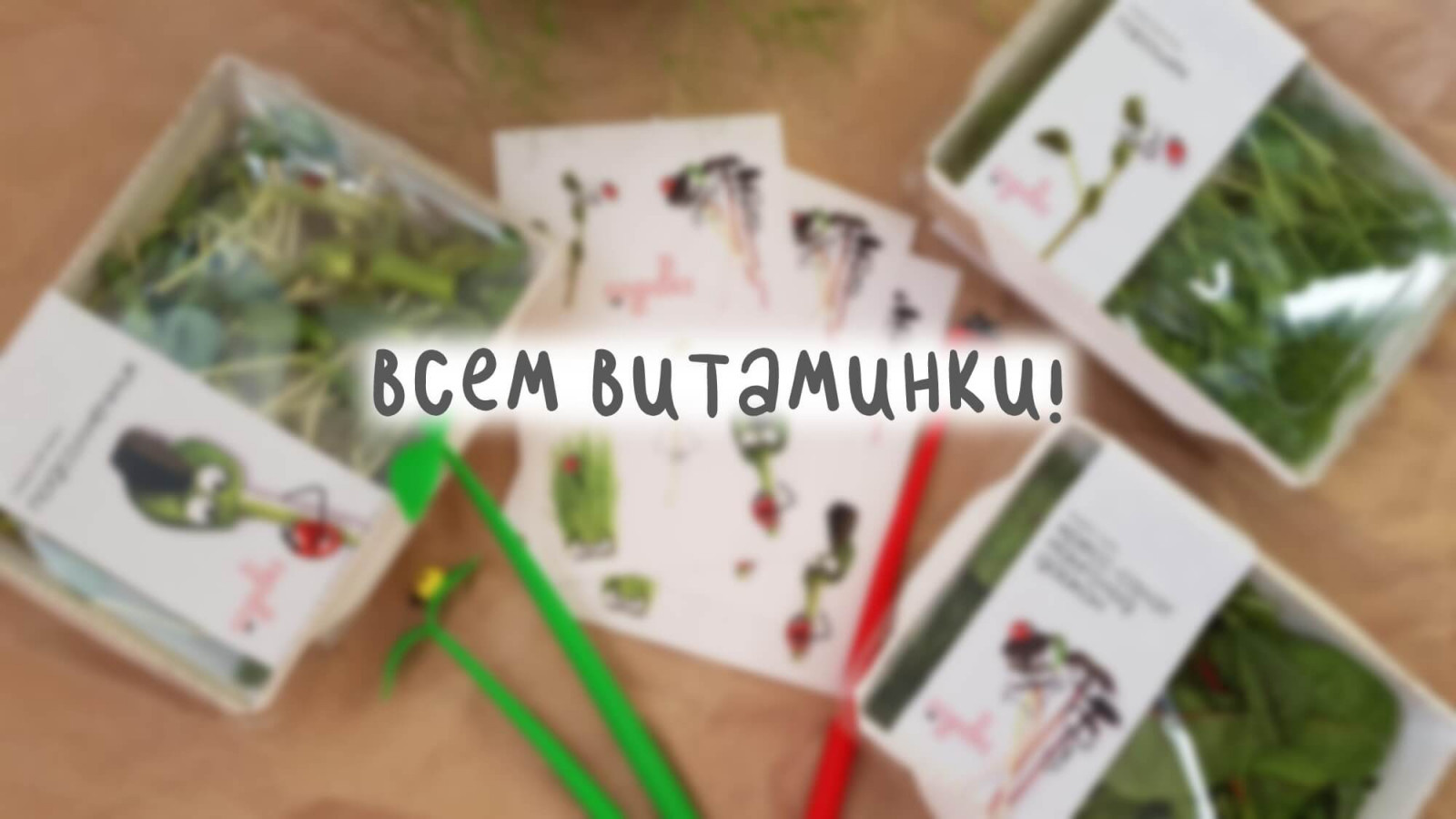 Обложка проекта: Разработка фирменного стиля для городской мини-фермы «Зеленый ряд»