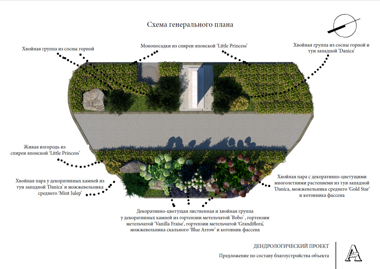Дендрологический проект цветника. Гостиница "Гатчина"