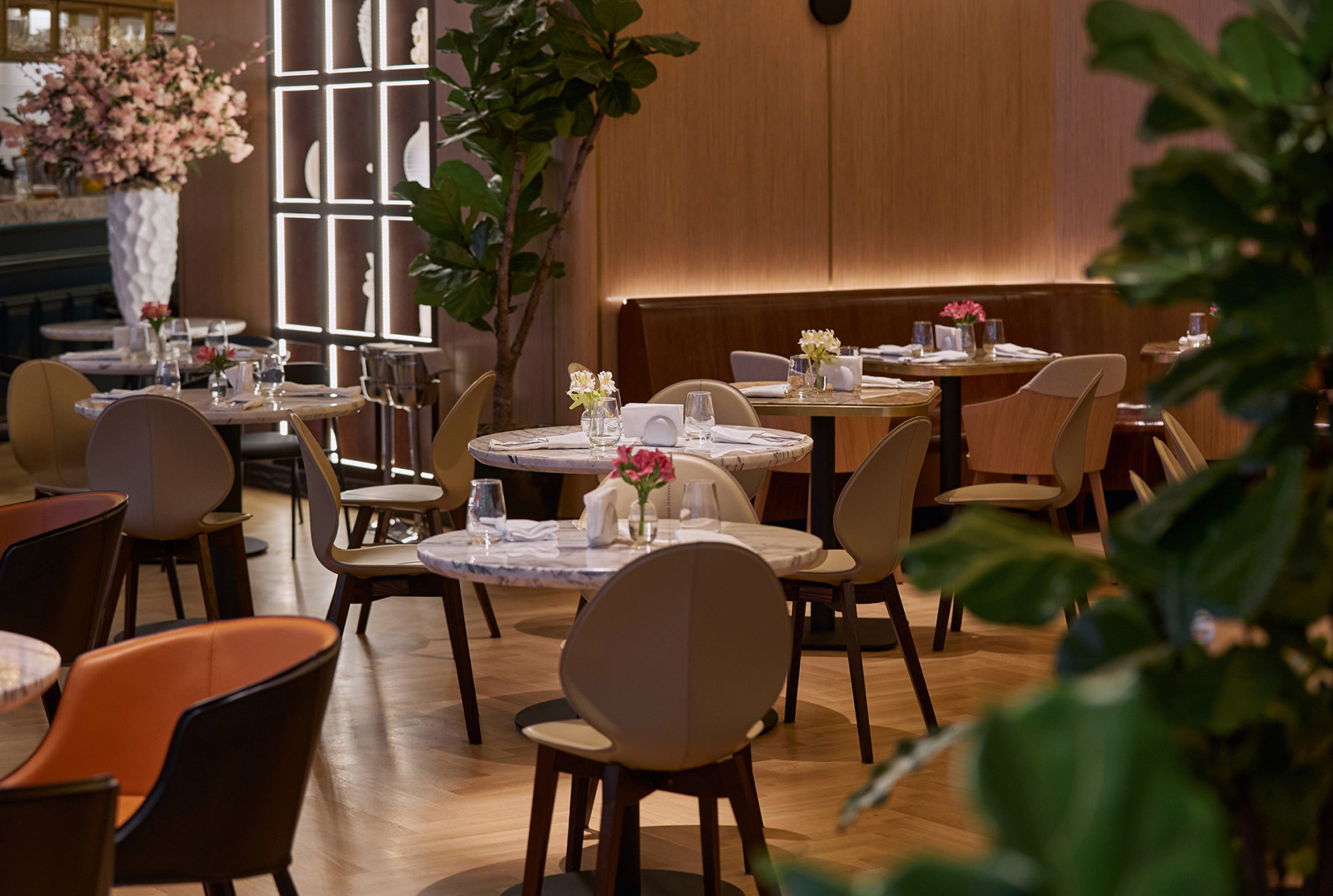 Огоньки cafe