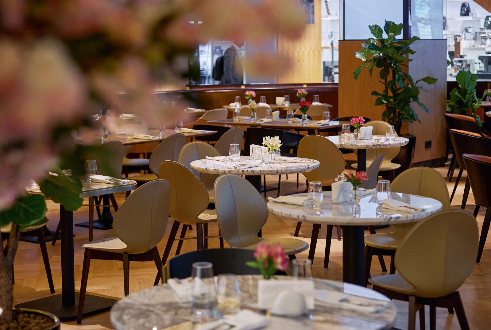 Огоньки cafe