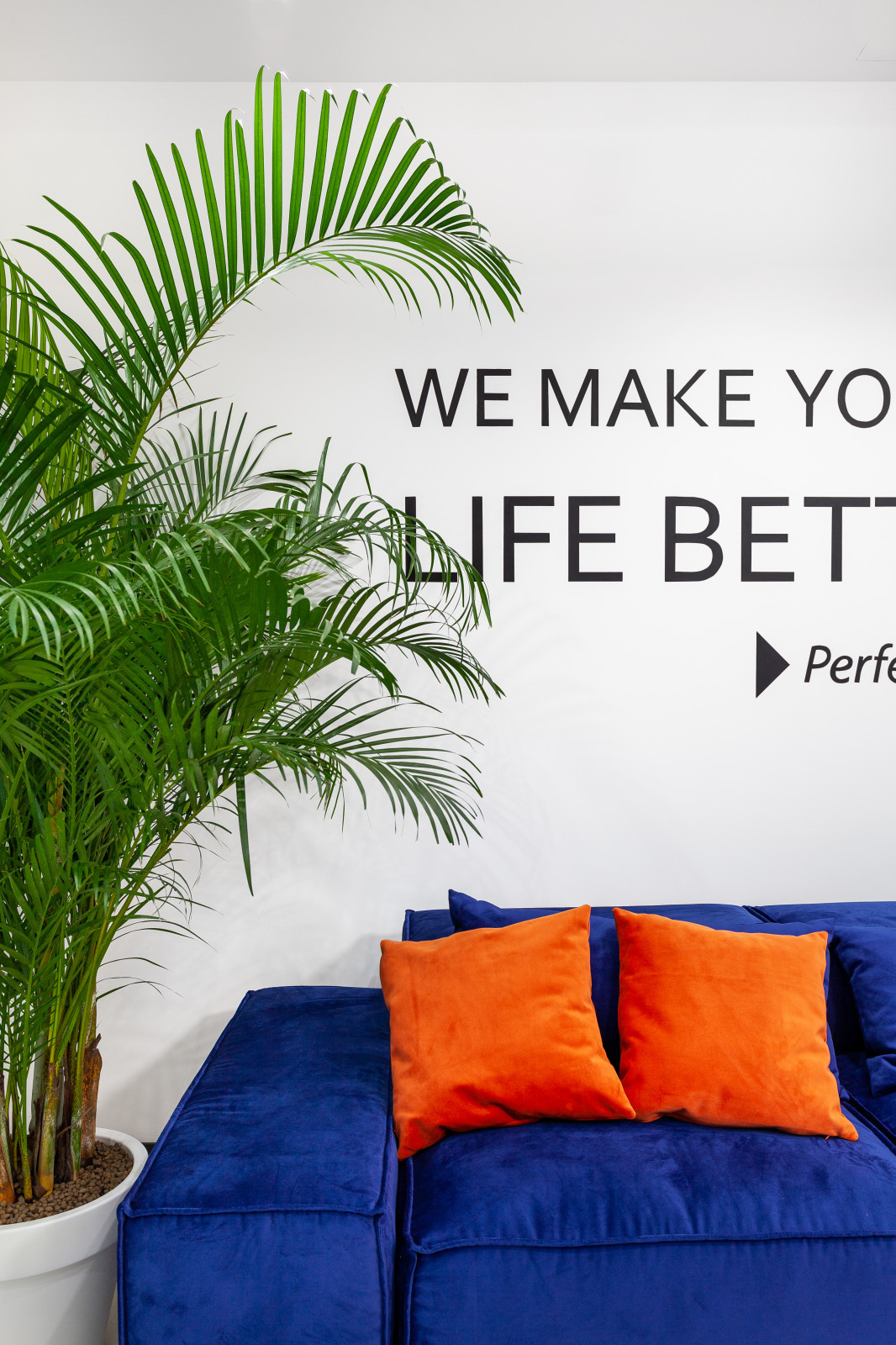 Студия персональных тренировок ОФП