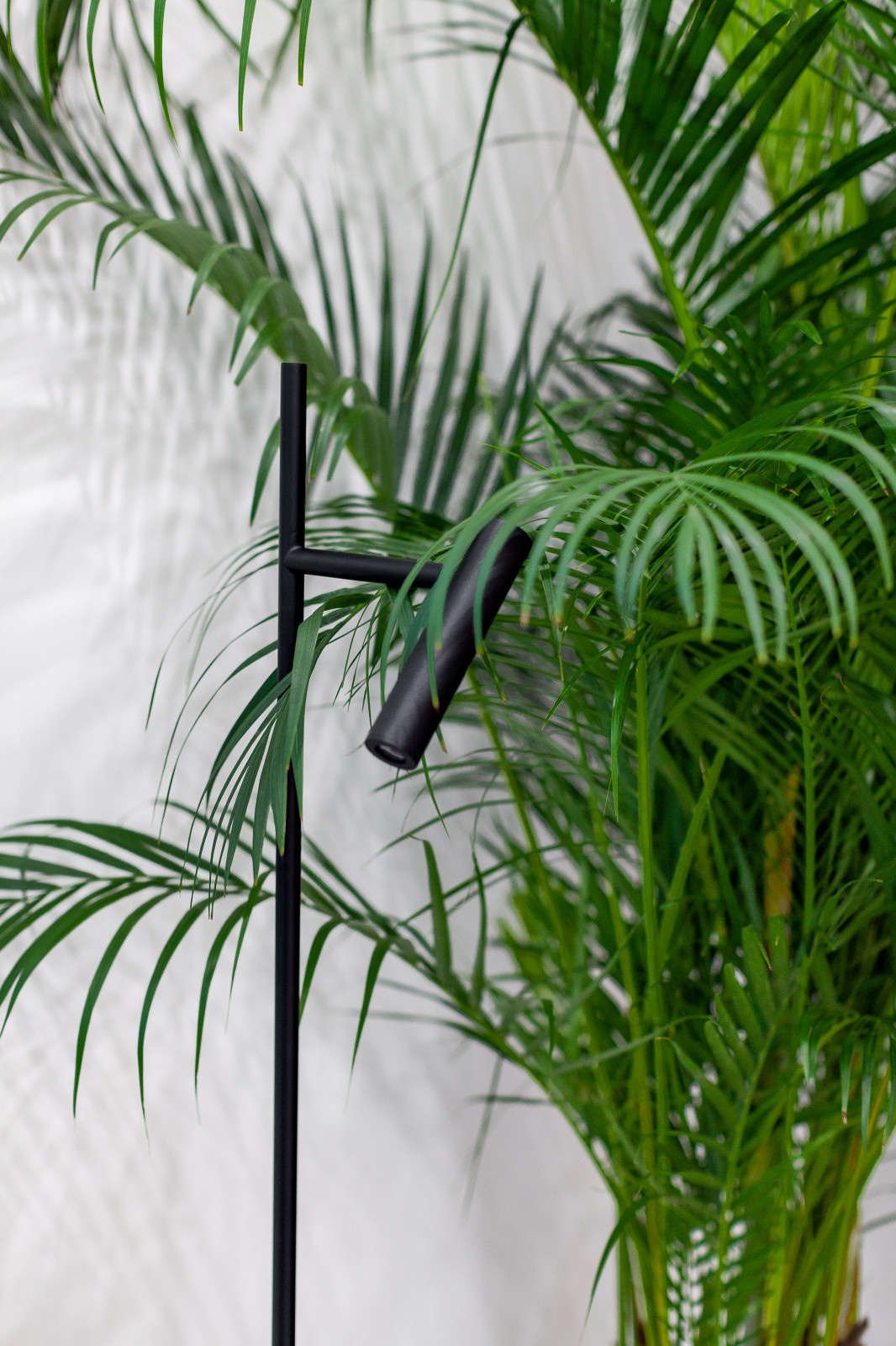 Студия персональных тренировок ОФП