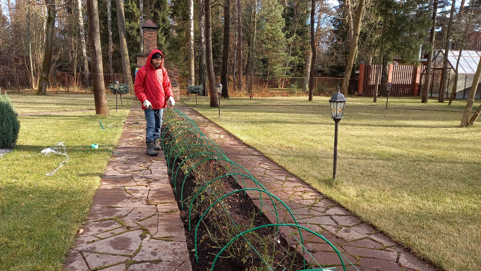 уход за розами