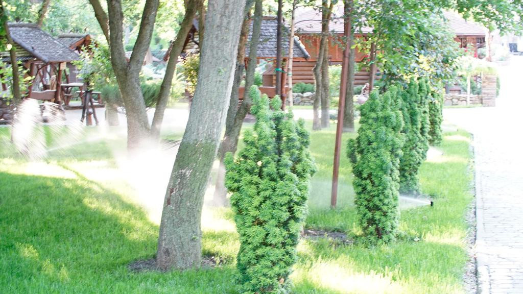 Парк Лога (Ростовская область)