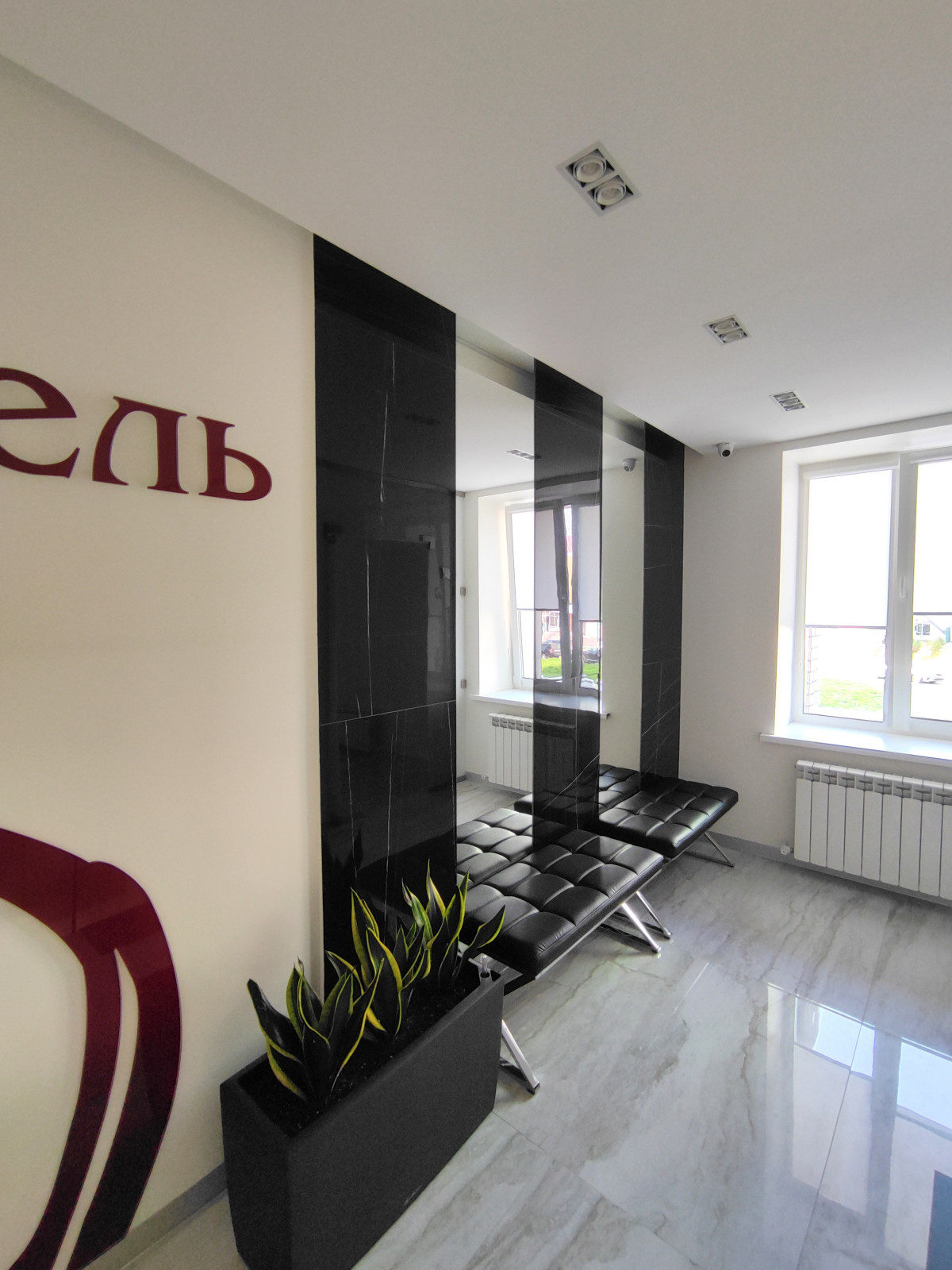 Реализация клиники ЭТЕЛЬ