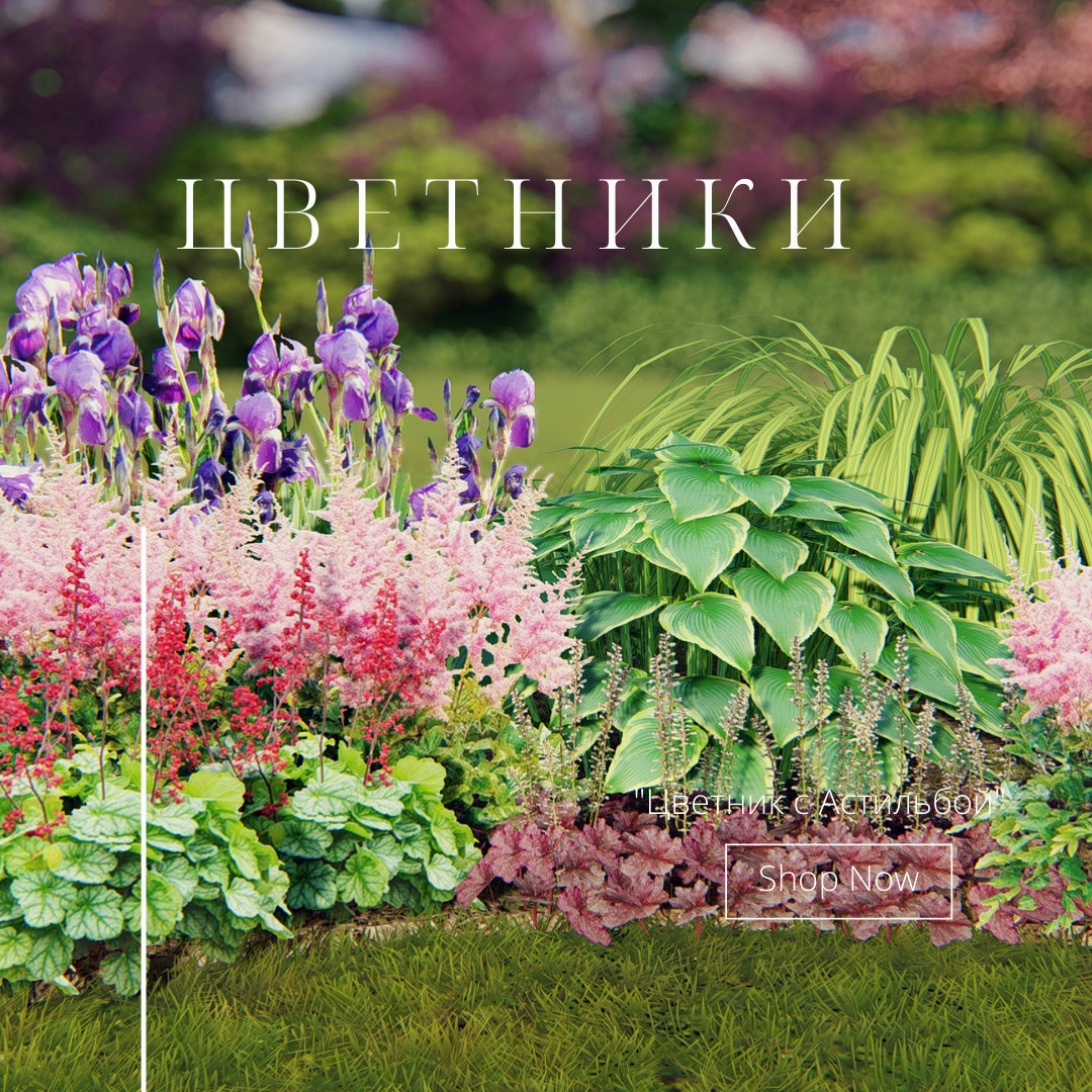 Готовые схемы цветников