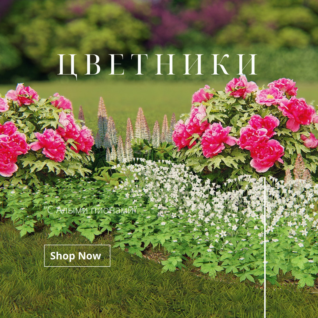 Готовые схемы цветников