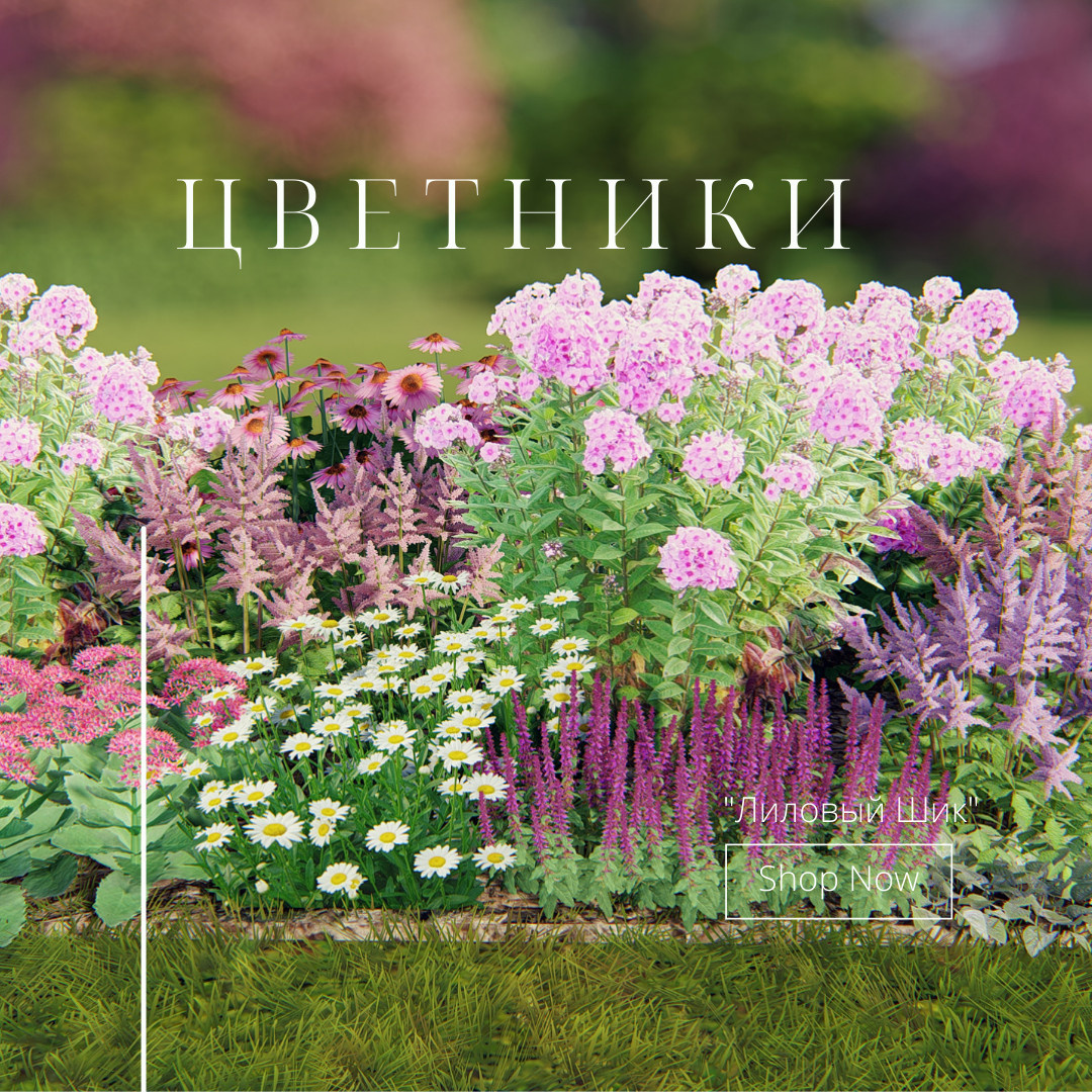 Готовые схемы цветников