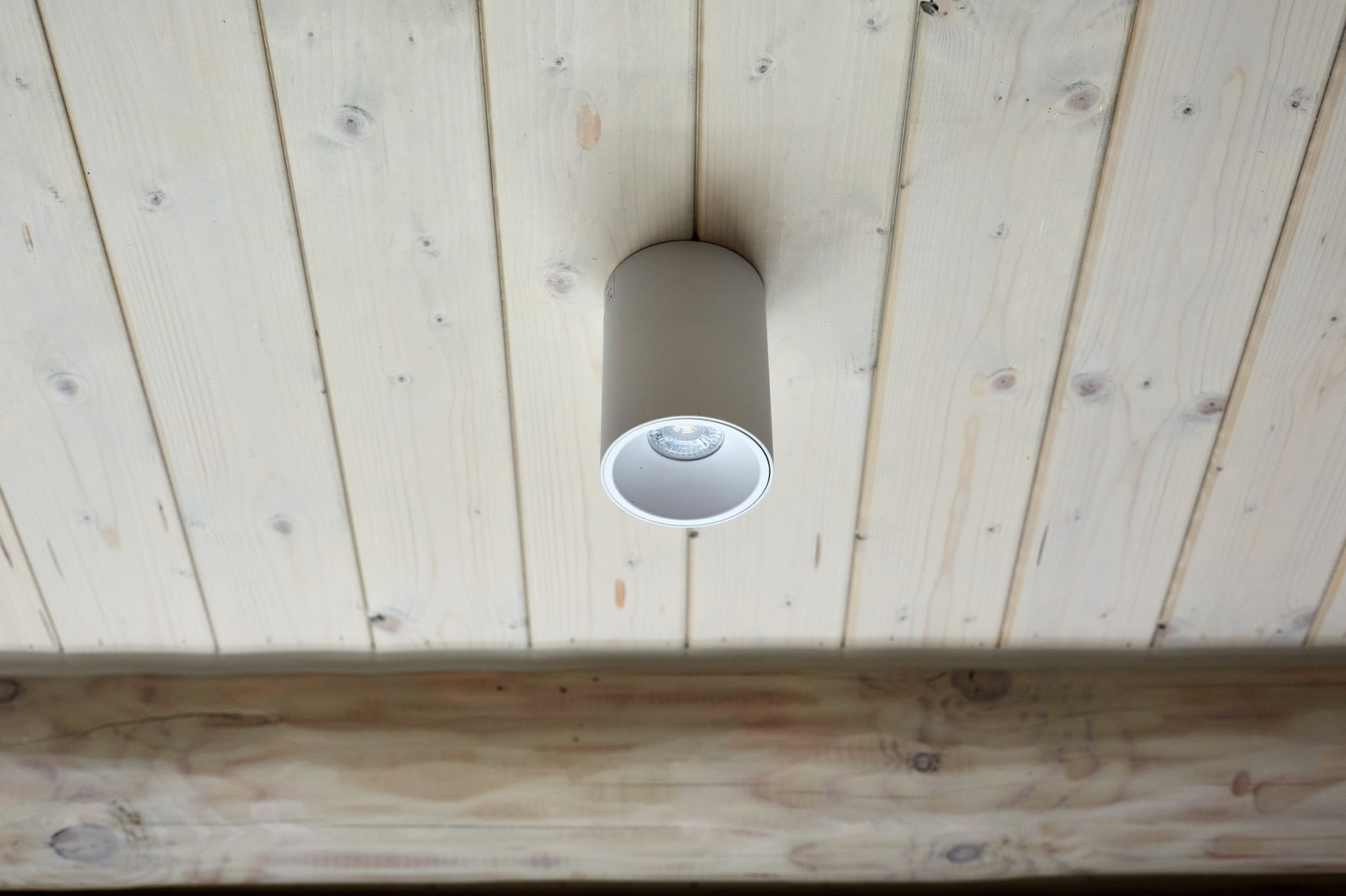 В гостях у сказки