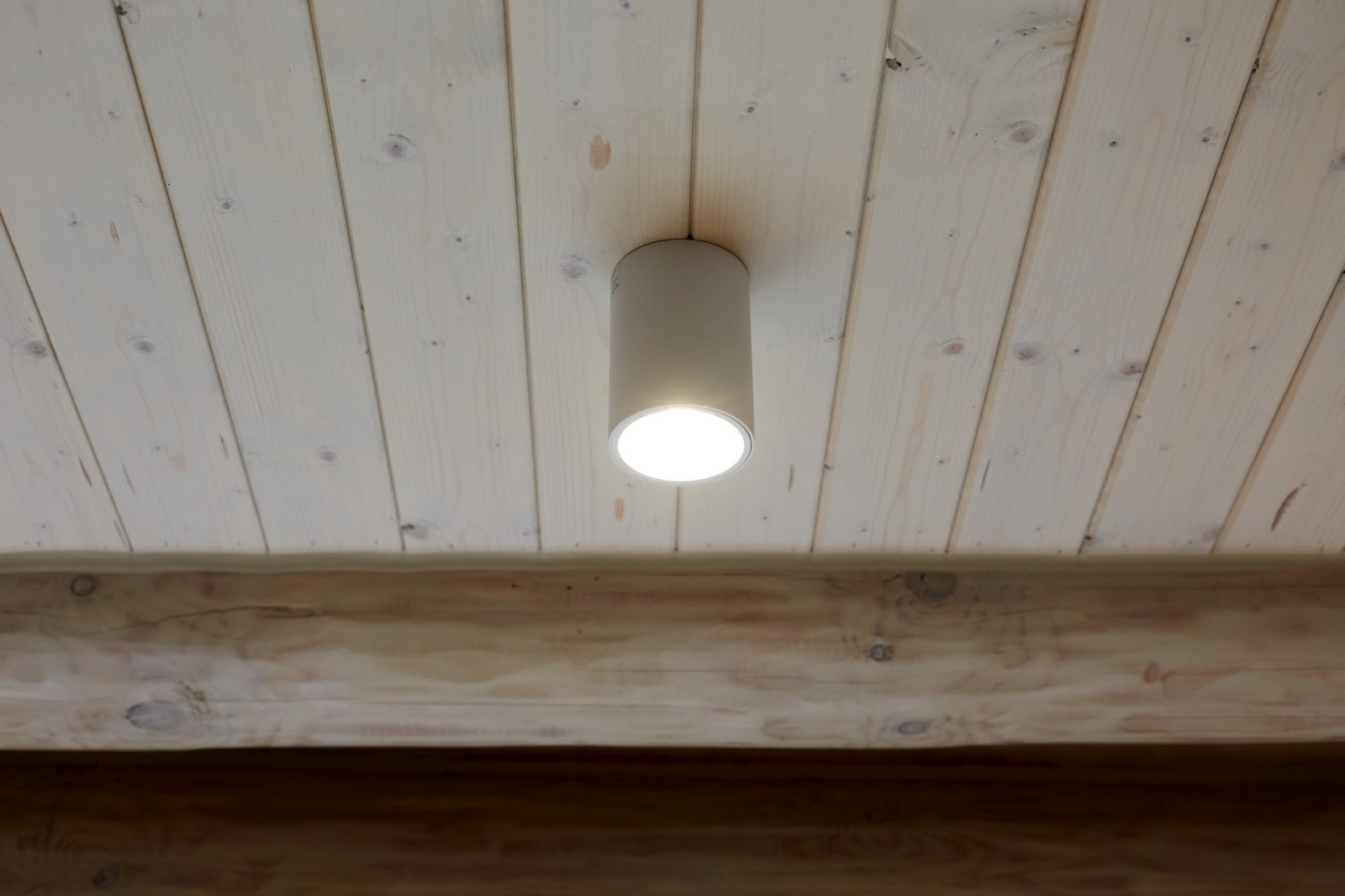 В гостях у сказки